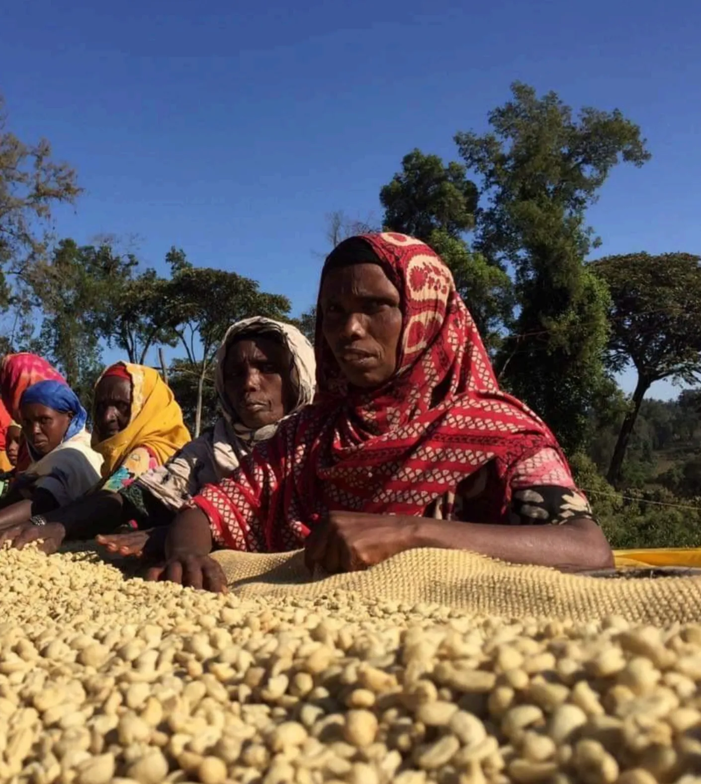 Ethiopia Gigesa